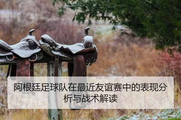 阿根廷足球队在最近友谊赛中的表现分析与战术解读