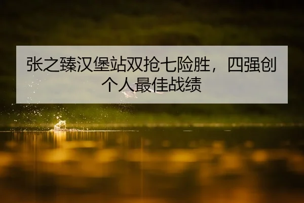 张之臻汉堡站双抢七险胜，四强创个人最佳战绩